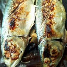 Sebut sahaja mengenai resepi ikan percik,terus kami terbayang ikan kembung atau ikan selar dan juga ikan keli yang diperap dahulu dengan bahan kisar sebelum dibakar diatas bara api.aroma asap bahan perapan ikan percik : Rahsia Resipi Ikan Percik Hampir 33 Tahun Kena Cuba Kesedapannya
