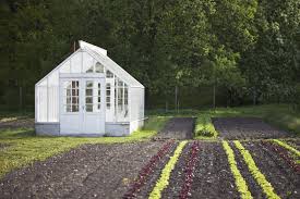 Alibaba.com offers 2,025 diy greenhouses products. 30 Diy Backyard Greenhouses How To Make A Greenhouse