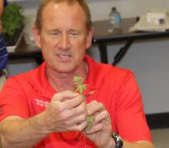 Vegetable grafting at Tech in Ag workshop — Feed the World