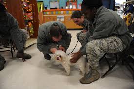 Congratulations on your choice to adopt a pet! Cadet Volunteer Work