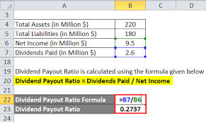 Sustainable Growth Rate Formula Calculator Excel Template