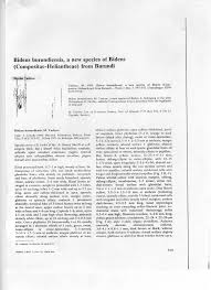 Image result for Bidens burundiensis