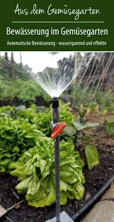 Automatische Bewasserung Im Gemusegarten Gezielt Und Wassersparend Bewasserung Garten Bewasserung Garten Bewasserungssystem
