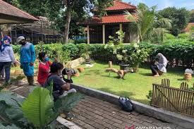 Taman Kelinci Betawi Di Tengah Pandemi Antara News Lampung