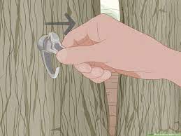 How To Make Maple Syrup 14 Steps With Pictures Wikihow