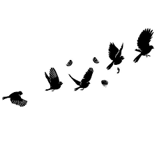 Dessin Dessin Silhouette Oiseau Noir
