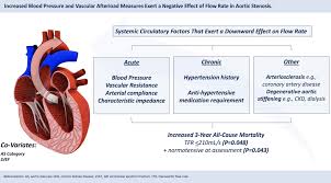 Image result for Afterload
