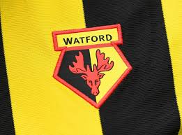 Welcome to the official instagram account of the hornets. Watford Badge Hornets Opt Against New Crest After 4 000 New Designs The Independent The Independent