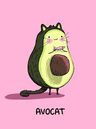 Avocat Fun Cute French Food Pun Greeting Card Etsy Cute Drawings Funny Art Cute Food Art