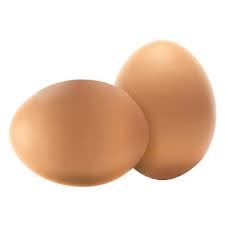 This occurs around 24 hours before the hen lays the eggs. Organic Fresh Chicken Table Eggs Fertilized Hatching Eggs Buy Organic Table Eggs Price Farm Fresh Chicken Eggs Price Fresh Brown Eggs Egg Yolk For Sale Buy Egg White Farm Fresh Chicken Eggs