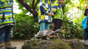 Familien Ausflug In Den Botanischen Garten Munchen Ausstellung Tropische Schmetterlinge Ich Spring Im Dreieck