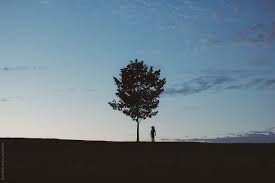 While we shall all be healed focused on darnielle's years as a teenager involved with other meth. Boy Standing Near Tree During Sunset By Kevin Keller