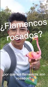 Edgar Pardo (@edgar.pardo22)