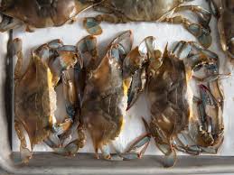 Take a look at this easy way to clean and cook blue crabs! How To Clean Soft Shell Crabs