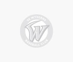 2020년 종료 기준 통산 218승 144패로 통산 승률 6할 (.602)을 기록하고 있다. Sk Wyverns