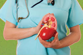 أملاح الكلى تؤدي لتكون الحصوات كيف تتجنبها الكونسلتو