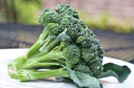 However, radishes are good as the nutrition source for your rabbit. Can Rabbits Eat Broccoli Stalks Leaves Flowers