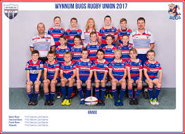 Wynnum Bugs Rugby Union Graphic Design On Behance