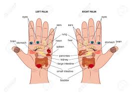 Hand Reflexology Chart