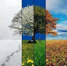 Silvia Herrada (@SilGreHer)