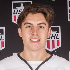 College men's hockey: Bulldogs incoming freshman Dovorany retires due to  knee injuries