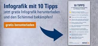 In schätzungsweise 60 % der fälle. 10 Tipps Zu Schimmel Im Keller Benz24