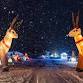 Holiday of Lights Friday December 12 event image