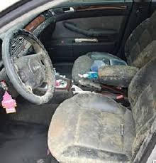 Mold On Car Seat Mold Remover Car Carpet Clean Car Seats