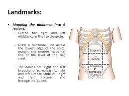 Maybe you would like to learn more about one of these? Examination Of The Abdomen Ppt Video Online Download