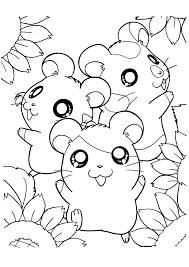 12 attrayant coloriage hamster photos sunflower coloring pages flower cute de bowling gratuit