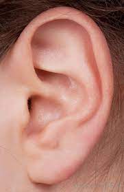 Ear removal tools like scissors and tweezers are perhaps the simplest on the list and, at the other end of the spectrum, lasers and electrolysis are reserved for experts only. What Are The Best Tips For Ear Hair Removal With Pictures