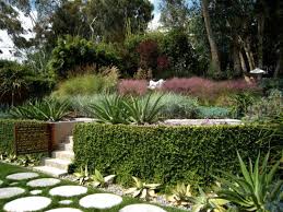 Winterharte Ziergraeser Heckenpflanzen Immergruene Stauden Garden Moderner Garten Garten Moderne Landschaftsgestaltung