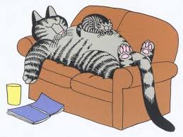 Bernard Kliban Kucing Tabby Seni Kucing Kucing Anjing