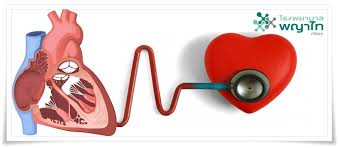 เส้นเลือดหัวใจตีบ หัวใจโตเคส hrt บำรุงหัวใจ คุณครู มีอาการ แน่น. à¸« à¸§à¹ƒà¸ˆà¹‚à¸• Enlarged Heart à¸«à¸£ à¸­ Cardiomegaly