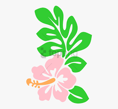 Hawaii state flower coloring page | woo! Free Png Hawaii Flower Cartoon Draw Hawaiian Flowers Cartoon Hawaii Flower Drawing Transparent Png Kindpng