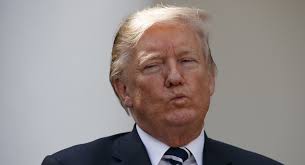 Trump's Obsessed With His IQ. Here's What He Should Worry About Instead.