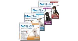 Nexgard is designed to treat and prevent flea infestations, and treat and control the american dog tick in dogs and puppies 8 weeks of age and older. Nexgard Chewables Productreview Com Au
