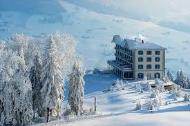 Villa Honegg A Luxury Hotel Hotel Villa Honegg Hotel Villa Honegg Switzerland Villa Honegg