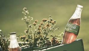 105,317,094 likes · 4,243 talking about this · 20,524 were here. Coca Cola Life The Start Of A New Life