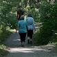 Fall Walkabout - Ft. Laurens event in Bolivar, OH