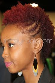 Mohawk hairstyles are flexible enough to let you design them with any kind of braiding design available for african american women. Braids And Mohawk Natural Hair Pictures Natural African American Hairstyles Natural Hair Styles