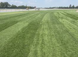 Ariana Greenblatt stripped balcony view