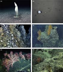 On natural and synthetic manganese nodules 159 sorem, r. Manganese Nodule An Overview Sciencedirect Topics
