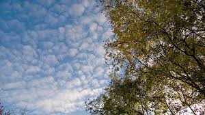 I want to live another day. Turtle Shell Clouds To My Eyes The Pattern Of The Clouds I Flickr