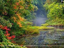 Landscapes Google Search Landscape Landscape Wallpaper Landscape Pictures