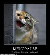 The wife is clearly upset by his comment, and asks him to elaborate. Funny Menopause Quotes Quotesgram