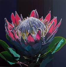 Artist Paul Blomkamp King Protea The True Electric Essence 120 X 120cm Acrylic On Canvas Protea Art Oil Painting Inspiration Art Painting