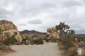 () joshua tree national park is like no other place on earth. Joshua Tree National Park Erfahrungen Reisebericht Usa Sudwesten Takly On Tour Der Reise Und Camping Blog