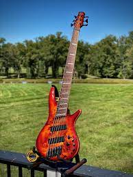 These are the best bass guitars for professionals. After Half A Year Of Trying Finally Found One Ibanez Srms806 Bassguitar