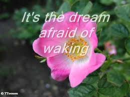Some say love, it is a river The Rose Bette Midler Lyrics Youtube